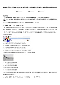 四川省乐山市沙湾区2023-2024学年八年级物理第一学期期末学业质量监测模拟试题含答案