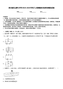 四川省乐山第七中学2023-2024学年八上物理期末质量检测模拟试题含答案