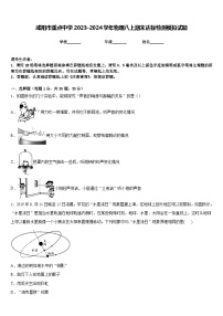 咸阳市重点中学2023-2024学年物理八上期末达标检测模拟试题含答案