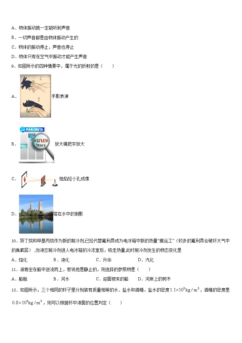 四川省乐山市名校2023-2024学年物理八年级第一学期期末质量检测模拟试题含答案第3页