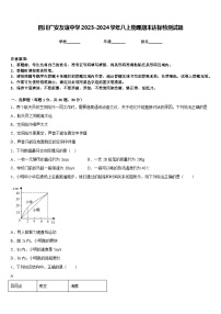 四川广安友谊中学2023-2024学年八上物理期末达标检测试题含答案