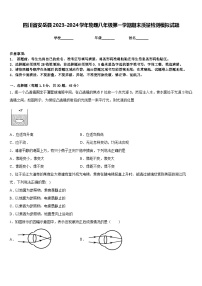 四川省安岳县2023-2024学年物理八年级第一学期期末质量检测模拟试题含答案