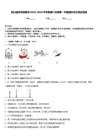 四川省安岳县联考2023-2024学年物理八年级第一学期期末综合测试试题含答案