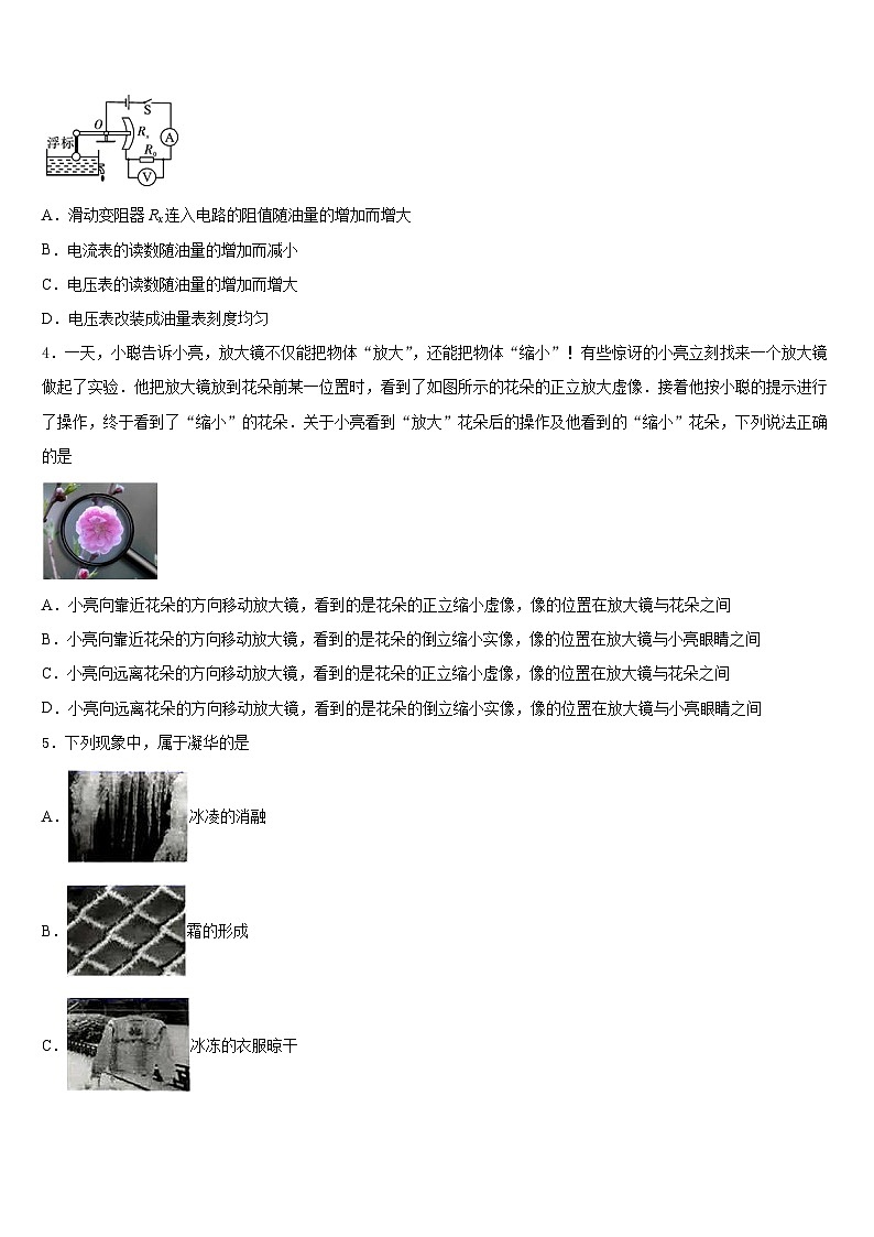 四川省巴中市名校2023-2024学年八上物理期末达标检测模拟试题含答案第2页