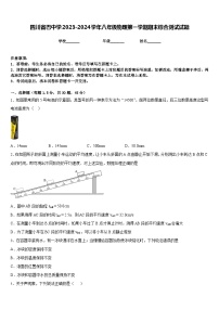 四川省巴中学2023-2024学年八年级物理第一学期期末综合测试试题含答案