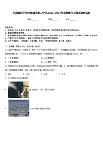 四川省巴中学市恩阳区第二中学2023-2024学年物理八上期末调研试题含答案