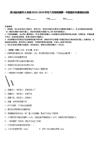 四川省成都市大邑县2023-2024学年八年级物理第一学期期末经典模拟试题含答案