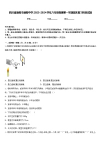 四川省德阳市德阳中学2023-2024学年八年级物理第一学期期末复习检测试题含答案