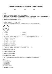 四川省广安市武胜县2023-2024学年八上物理期末考试试题含答案