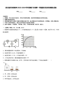 四川省岳池县联考2023-2024学年物理八年级第一学期期末质量检测模拟试题含答案