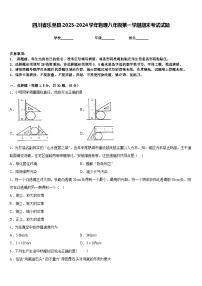 四川省乐至县2023-2024学年物理八年级第一学期期末考试试题含答案