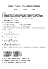 四川省宜宾中学2023-2024学年八上物理期末质量跟踪监视试题含答案