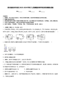 四川省宜宾市名校2023-2024学年八上物理期末教学质量检测模拟试题含答案