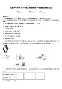 城郊中学2023-2024学年八年级物理第一学期期末统考模拟试题含答案