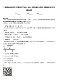 宁夏回族自治区中学卫市第五中学2023-2024学年物理八年级第一学期期末复习检测模拟试题含答案