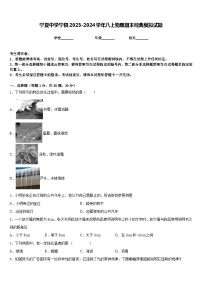 宁夏中学宁县2023-2024学年八上物理期末经典模拟试题含答案