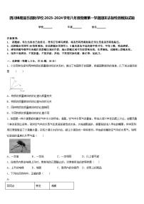 四川绵阳富乐园际学校2023-2024学年八年级物理第一学期期末达标检测模拟试题含答案