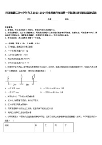 四川省锦江区七中学育才2023-2024学年物理八年级第一学期期末质量跟踪监视试题含答案