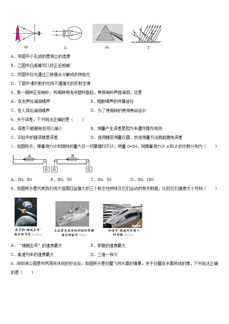 四川省邛崃市2023-2024学年八年级物理第一学期期末考试模拟试题含答案第2页