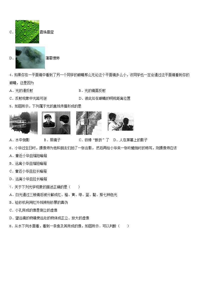 四川省遂宁高级实验学校2023-2024学年物理八年级第一学期期末统考模拟试题含答案第2页