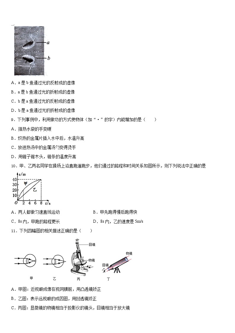 四川省遂宁高级实验学校2023-2024学年物理八年级第一学期期末统考模拟试题含答案第3页