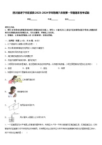 四川省遂宁市蓬溪县2023-2024学年物理八年级第一学期期末统考试题含答案