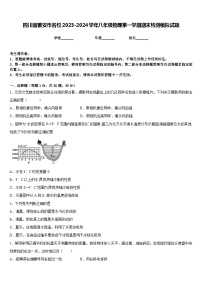 四川省雅安市名校2023-2024学年八年级物理第一学期期末检测模拟试题含答案