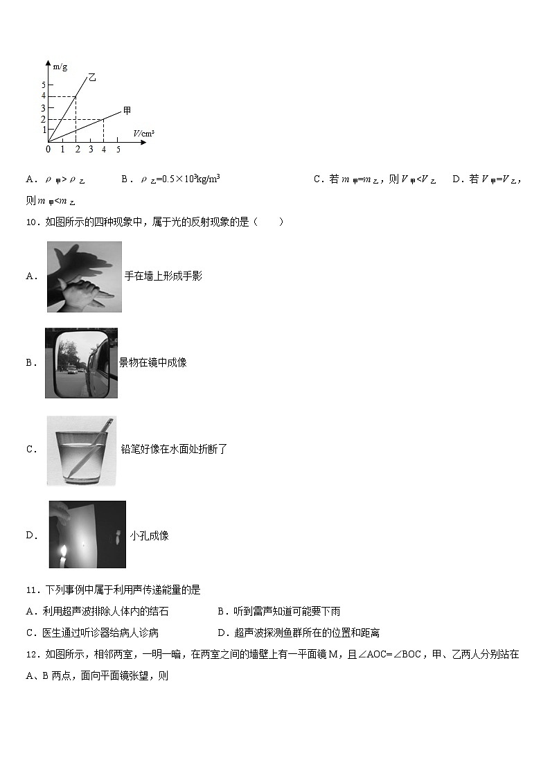 四川省雅安市雨城区雅安中学2023-2024学年物理八上期末学业质量监测模拟试题含答案第3页