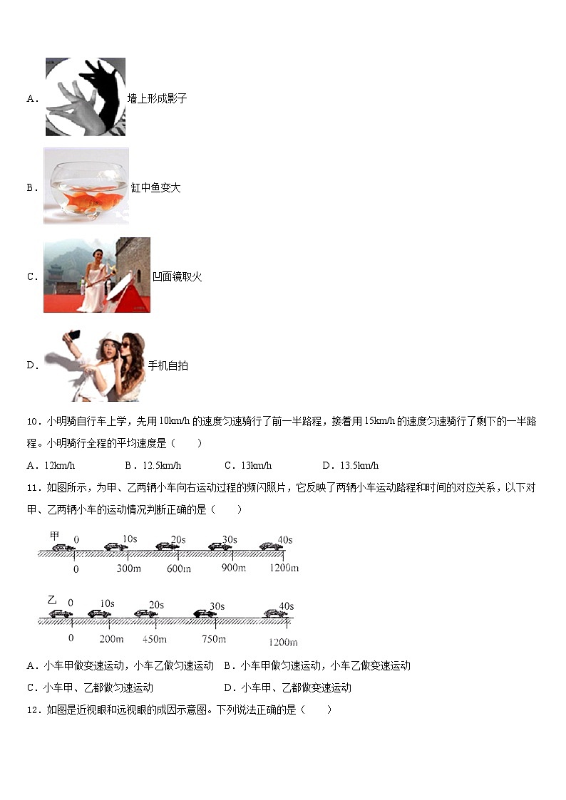 天津二十五中学2023-2024学年八上物理期末教学质量检测模拟试题含答案第3页
