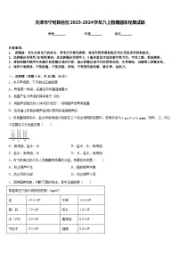 天津市宁河县名校2023-2024学年八上物理期末经典试题含答案