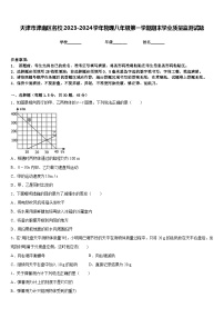 天津市津南区名校2023-2024学年物理八年级第一学期期末学业质量监测试题含答案