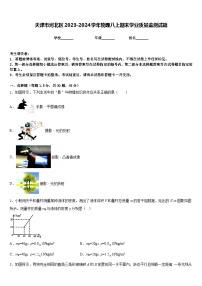 天津市河北区2023-2024学年物理八上期末学业质量监测试题含答案