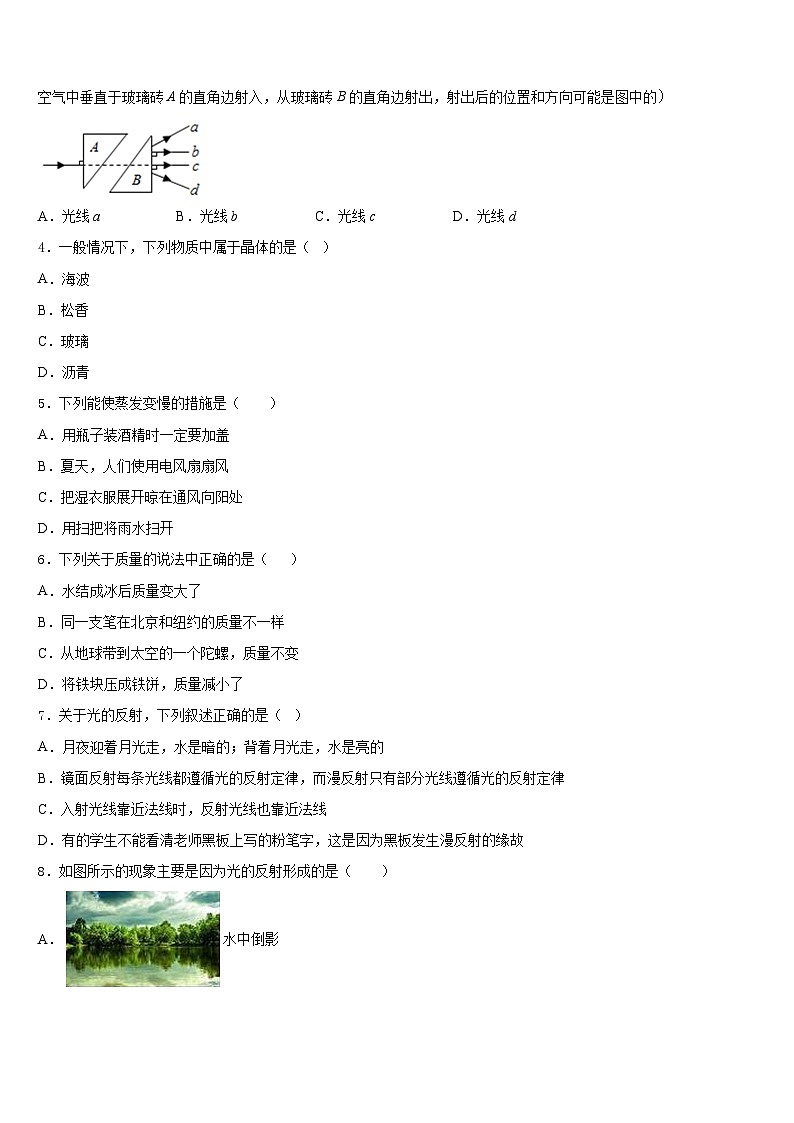 天津市河北区2023-2024学年物理八上期末学业质量监测试题含答案02