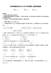 天津市西青区名校2023-2024学年物理八上期末经典试题含答案