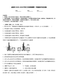 威海市2023-2024学年八年级物理第一学期期末考试试题含答案