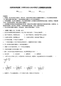 天津市和平区第二十中学2023-2024学年八上物理期末监测试题含答案