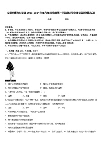 安徽池州市东至县2023-2024学年八年级物理第一学期期末学业质量监测模拟试题含答案