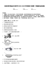 安徽合肥市蜀山区文博中学2023-2024学年物理八年级第一学期期末监测试题含答案