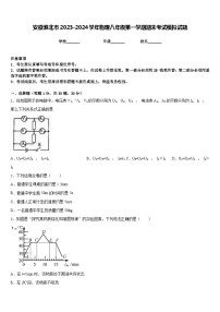 安徽淮北市2023-2024学年物理八年级第一学期期末考试模拟试题含答案