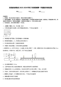 安徽省亳州地区2023-2024学年八年级物理第一学期期末预测试题含答案