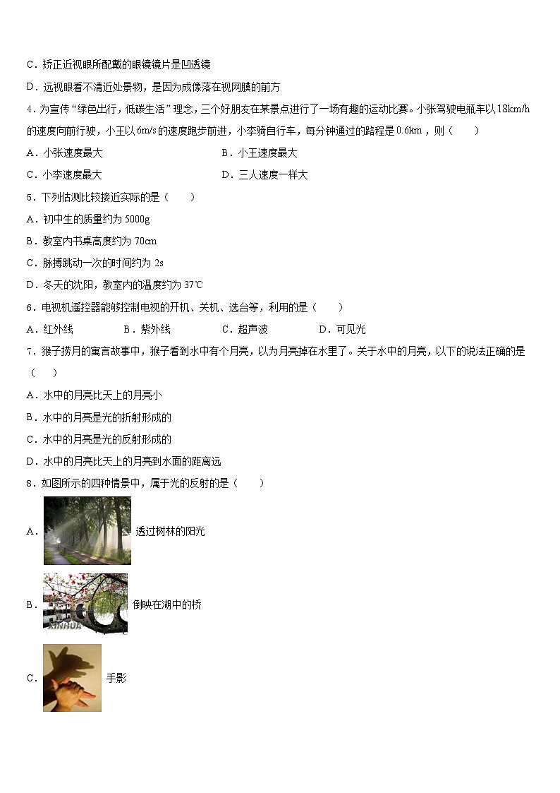 安徽省亳州地区2023-2024学年八年级物理第一学期期末预测试题含答案第2页