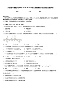 安徽省亳州市蒙城中学2023-2024学年八上物理期末质量跟踪监视试题含答案