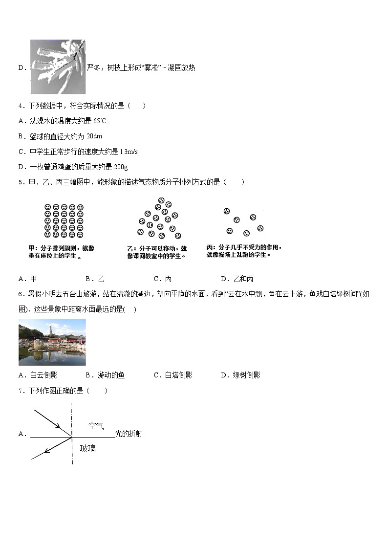 安徽省合肥包河区五校联考2023-2024学年八上物理期末教学质量检测模拟试题含答案第2页