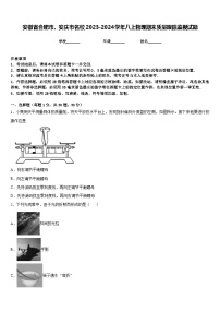 安徽省合肥市、安庆市名校2023-2024学年八上物理期末质量跟踪监视试题含答案