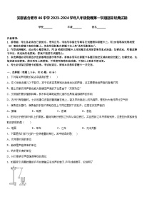 安徽省合肥市46中学2023-2024学年八年级物理第一学期期末经典试题含答案