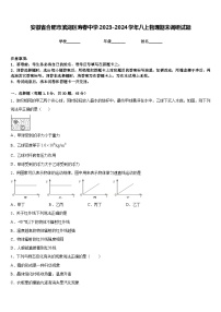 安徽省合肥市滨湖区寿春中学2023-2024学年八上物理期末调研试题含答案