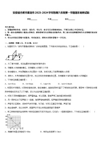 安徽省合肥市巢湖市2023-2024学年物理八年级第一学期期末调研试题含答案