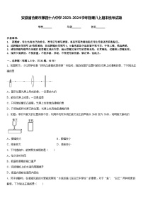 安徽省合肥市第四十六中学2023-2024学年物理八上期末统考试题含答案