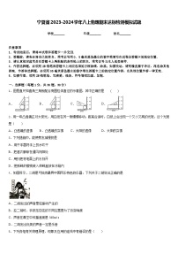 宁夏省2023-2024学年八上物理期末达标检测模拟试题含答案