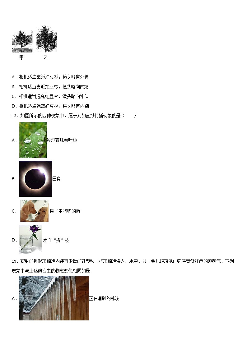 安徽省合肥市科大附中2023-2024学年八上物理期末复习检测试题含答案第3页